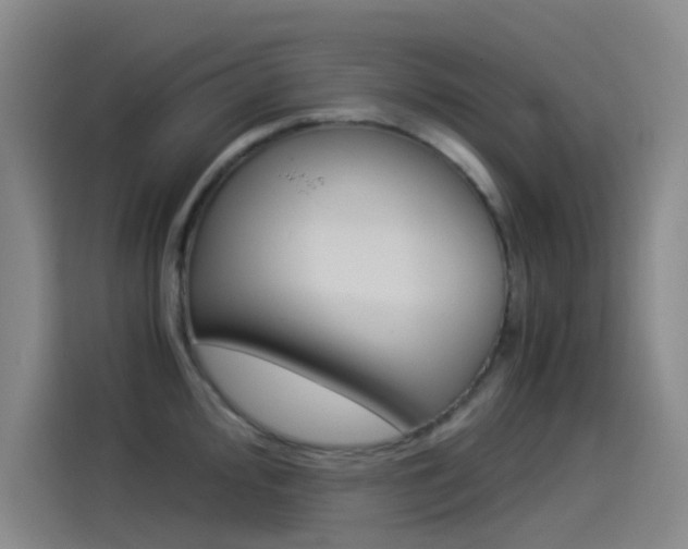 X0000114541000200910190927