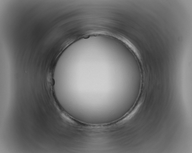 X0000114541001200910190927