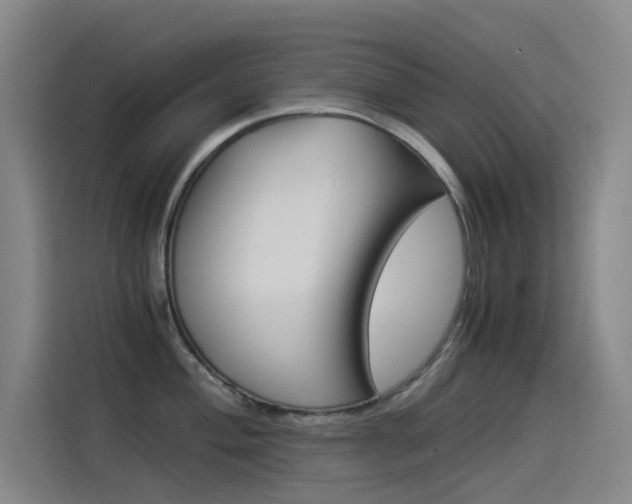 X0000114541004200910190927