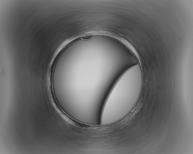 X0000114541005200910190927
