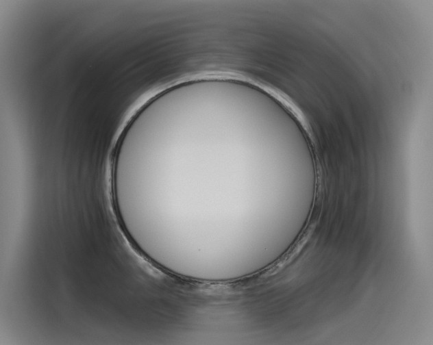 X0000114541006200910190927