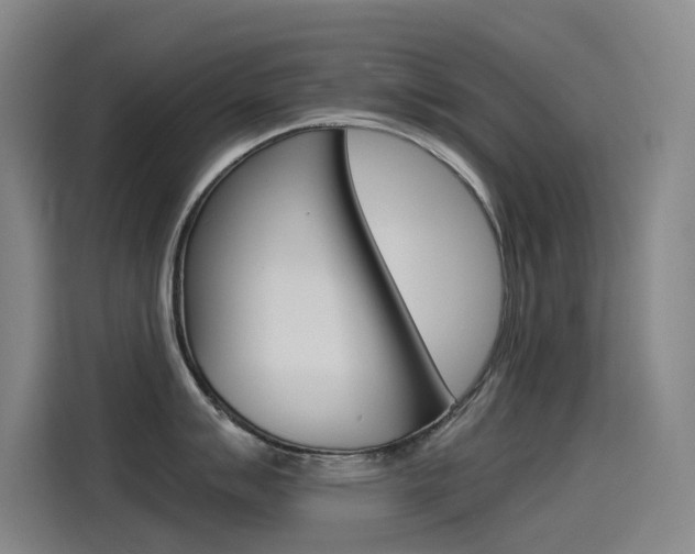X0000114541007200910190927