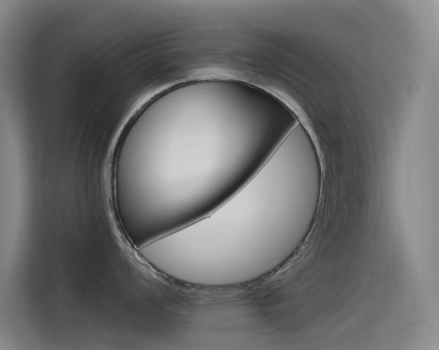 X0000114541008200910190927
