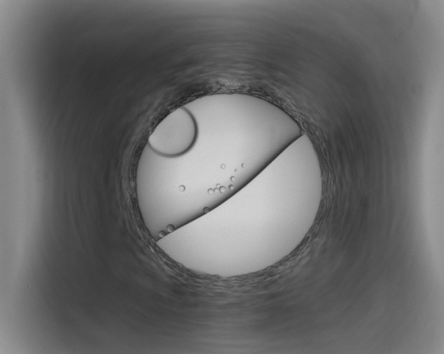 X0000114541009200910190927
