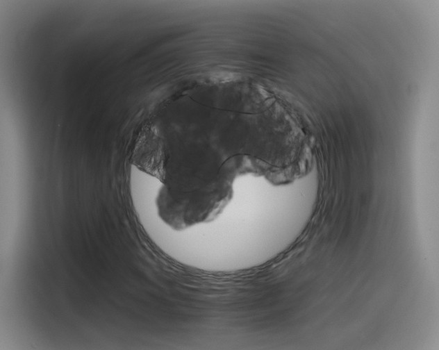 X0000114541011200910190927