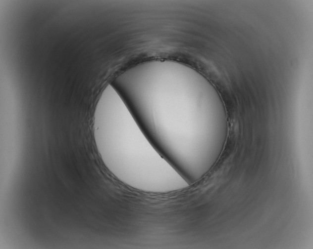 X0000114541012200910190927