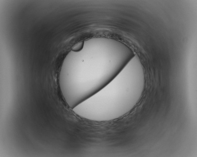 X0000114541013200910190927