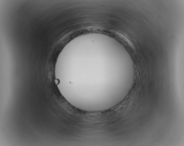 X0000114541015200910190927