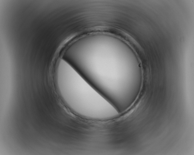 X0000114541018200910190927