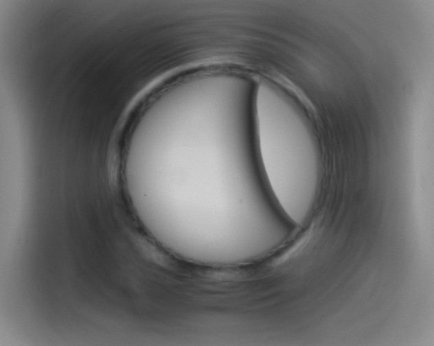 X0000114541021200910190927