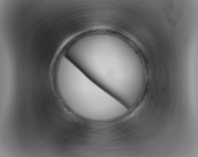X0000114541022200910190927