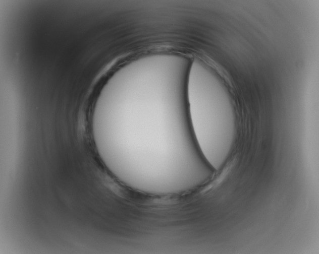 X0000114541023200910190927