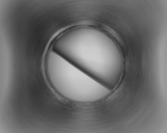 X0000114541024200910190927