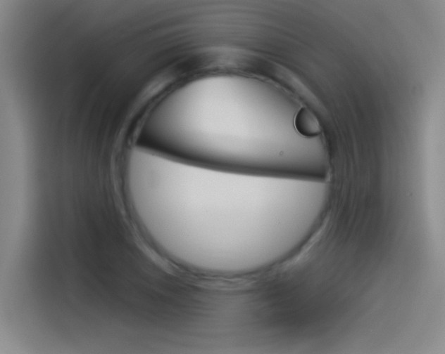 X0000114541026200910190927