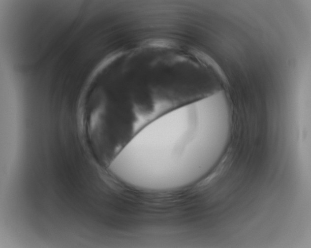 X0000114541027200910190927