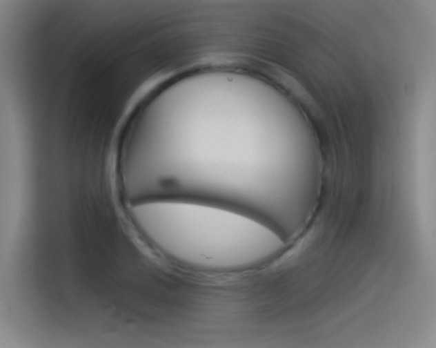 X0000114541030200910190927