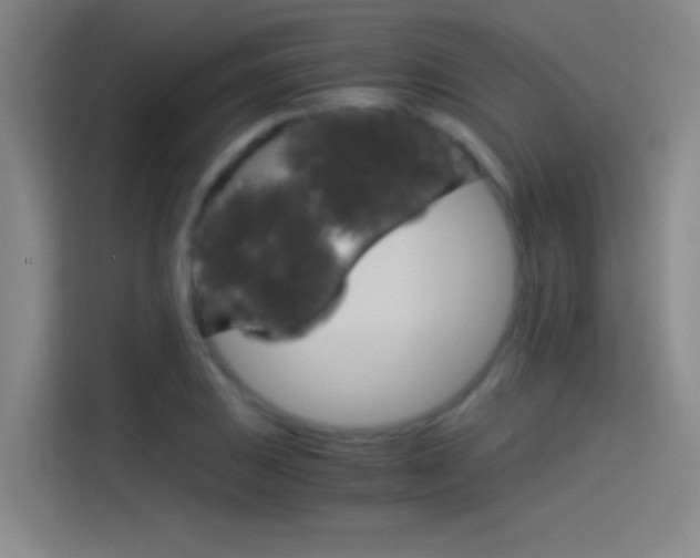 X0000114541031200910190927