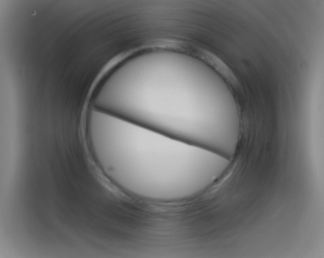 X0000114541036200910190927