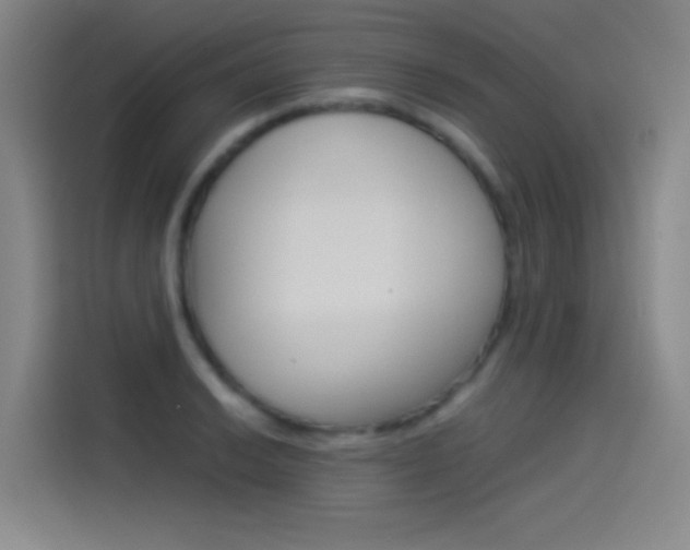 X0000114541038200910190927