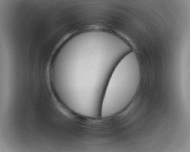 X0000114541039200910190927