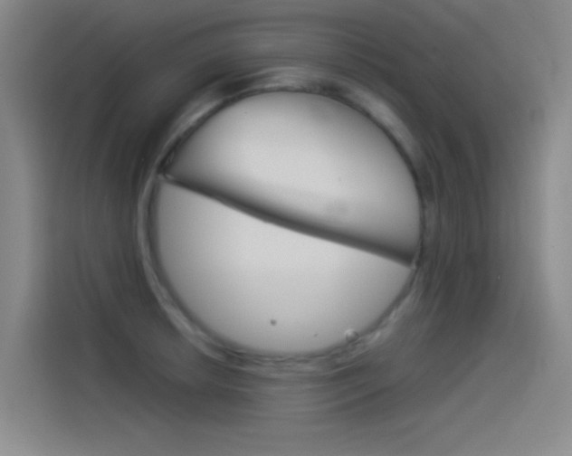 X0000114541042200910190927
