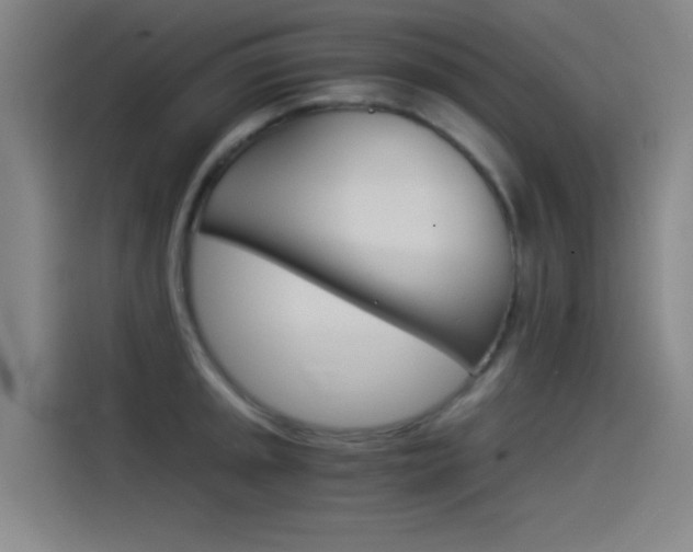 X0000114541045200910190927