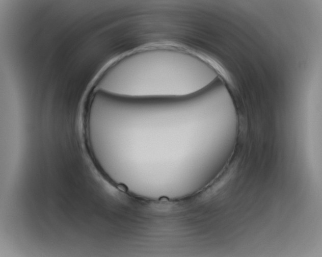 X0000114541046200910190927