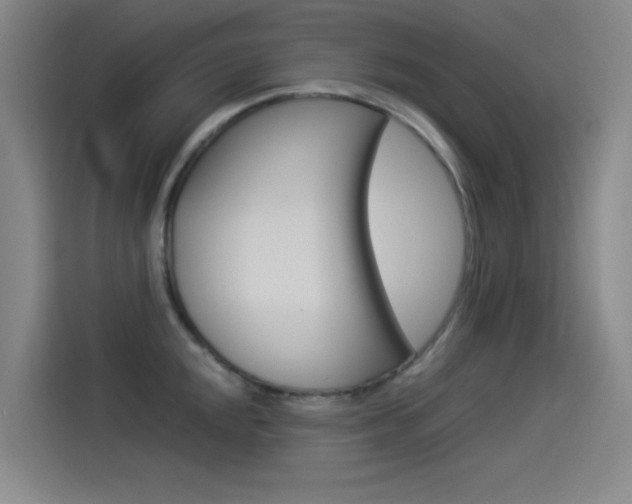 X0000114541048200910190927