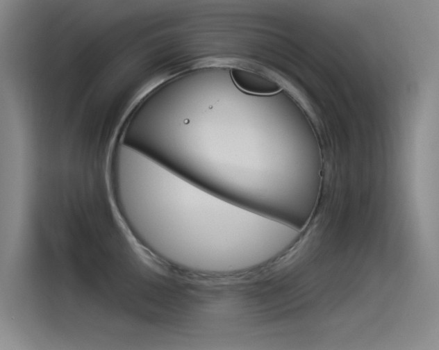 X0000114541050200910190927