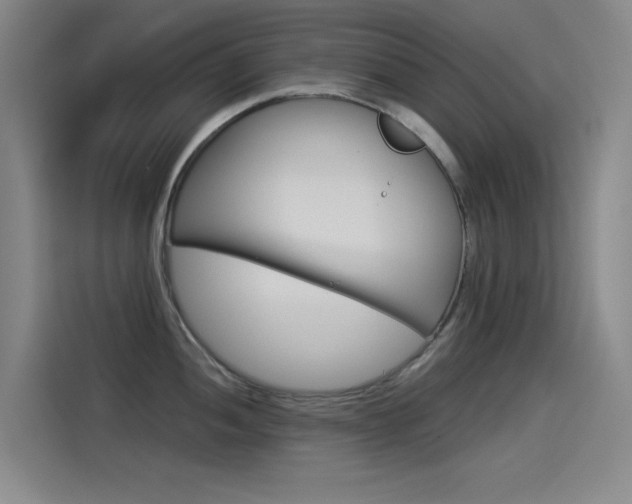 X0000114541052200910190927