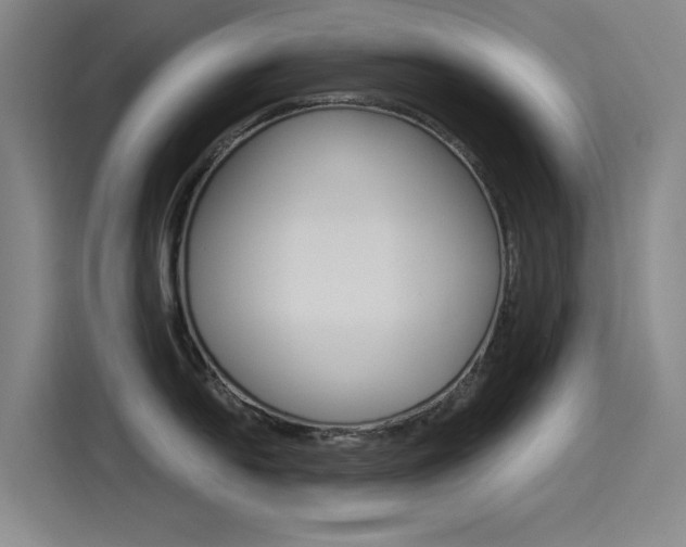 X0000114541054200910190927