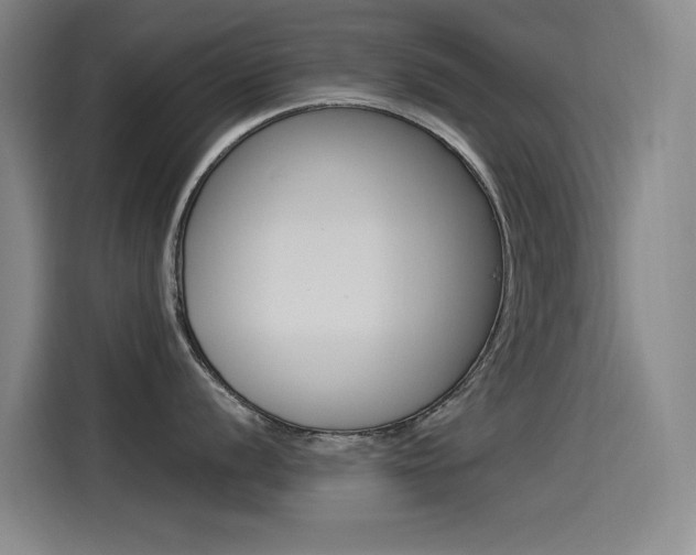 X0000114541056200910190927