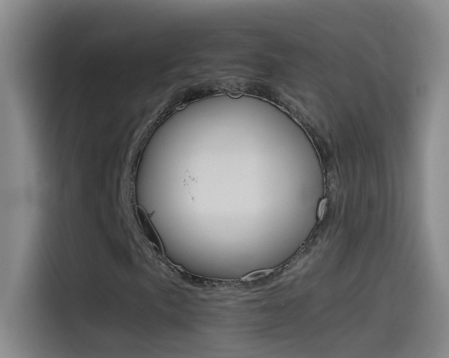 X0000114541057200910190927
