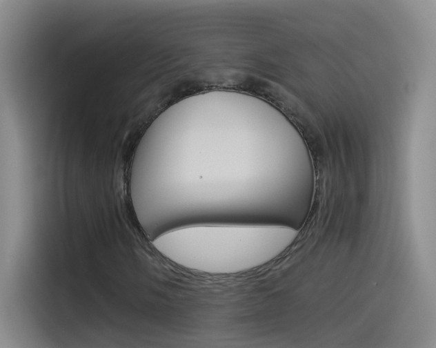 X0000114541058200910190927