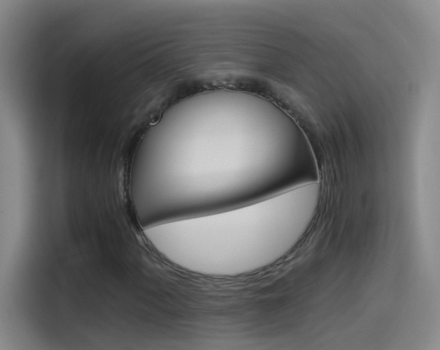 X0000114541060200910190927