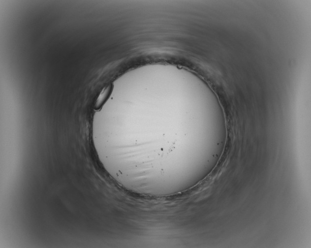 X0000114541061200910190927