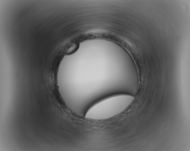 X0000114541062200910190927