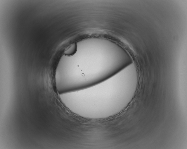 X0000114541063200910190927