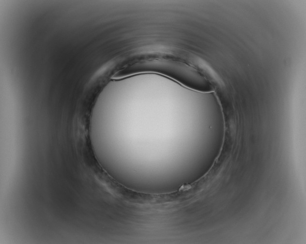 X0000114541064200910190927