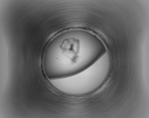 X0000114541065200910190927