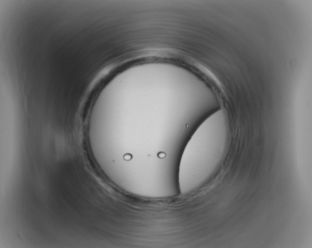 X0000114541067200910190927