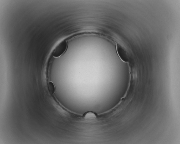 X0000114541068200910190927