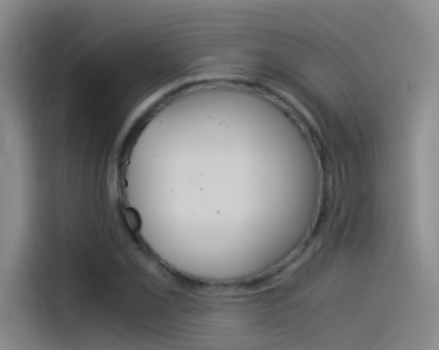 X0000114541069200910190927
