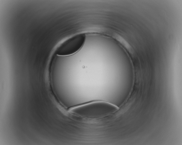 X0000114541072200910190927