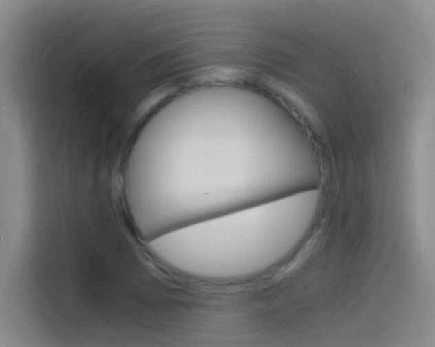 X0000114541073200910190927