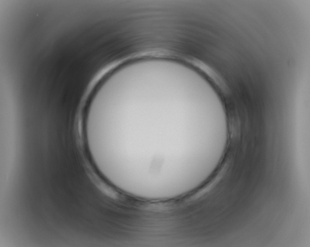 X0000114541078200910190926