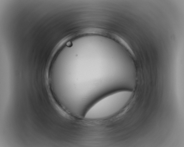 X0000114541082200910190926