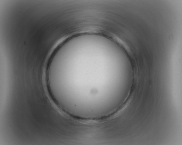 X0000114541085200910190926