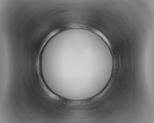 X0000114541098200910190926