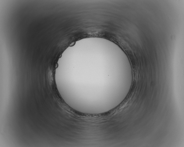 X0000114541106200910190925